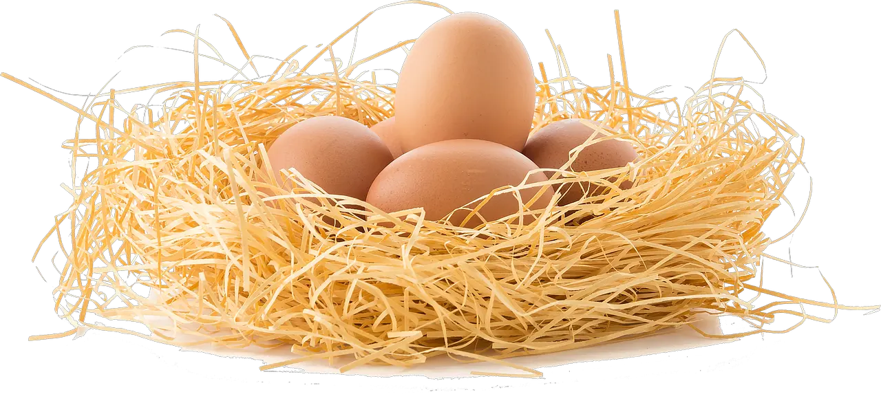 Brown Eggs Png Eggs In Nest Png