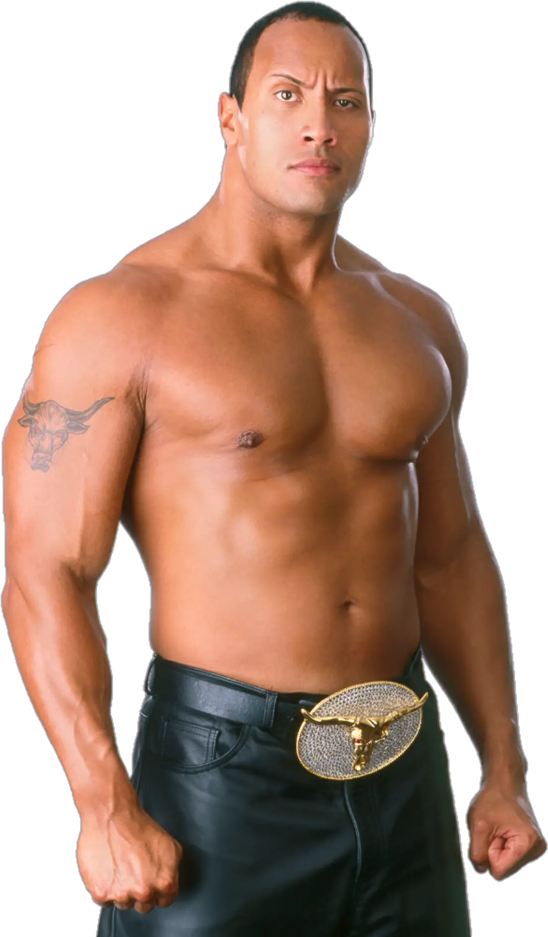 Image Id - Wwe The Rock Png