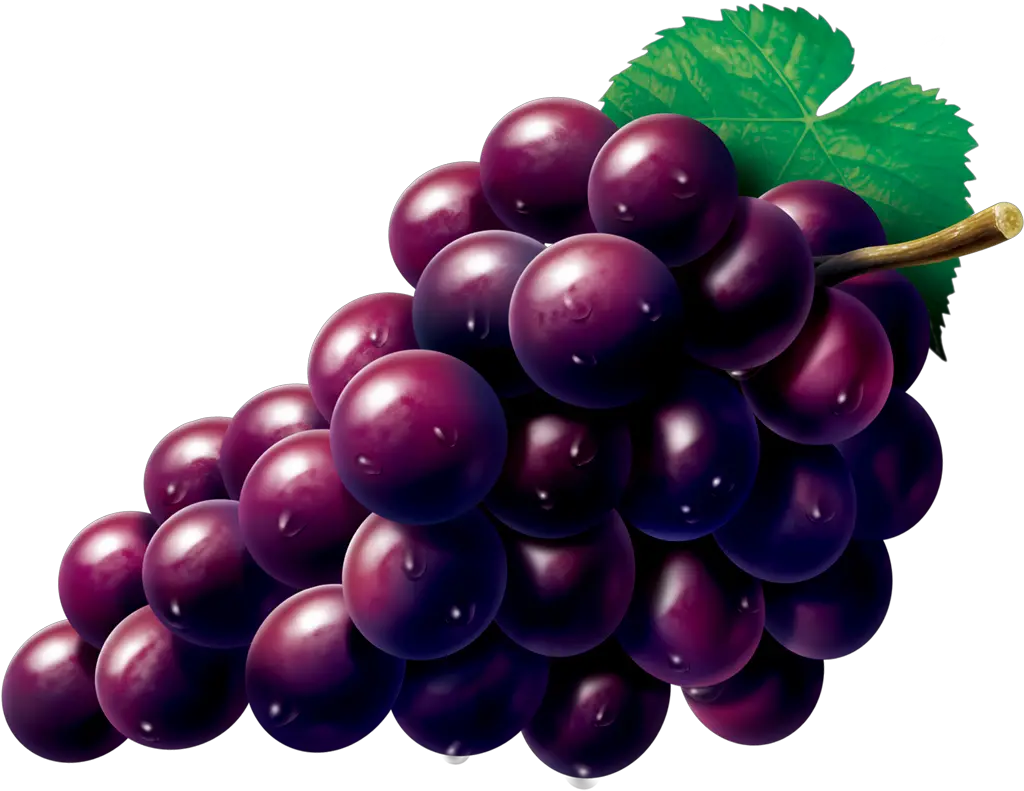 Grape Zante Currant Seedless Fruit Grapes Fruit Png