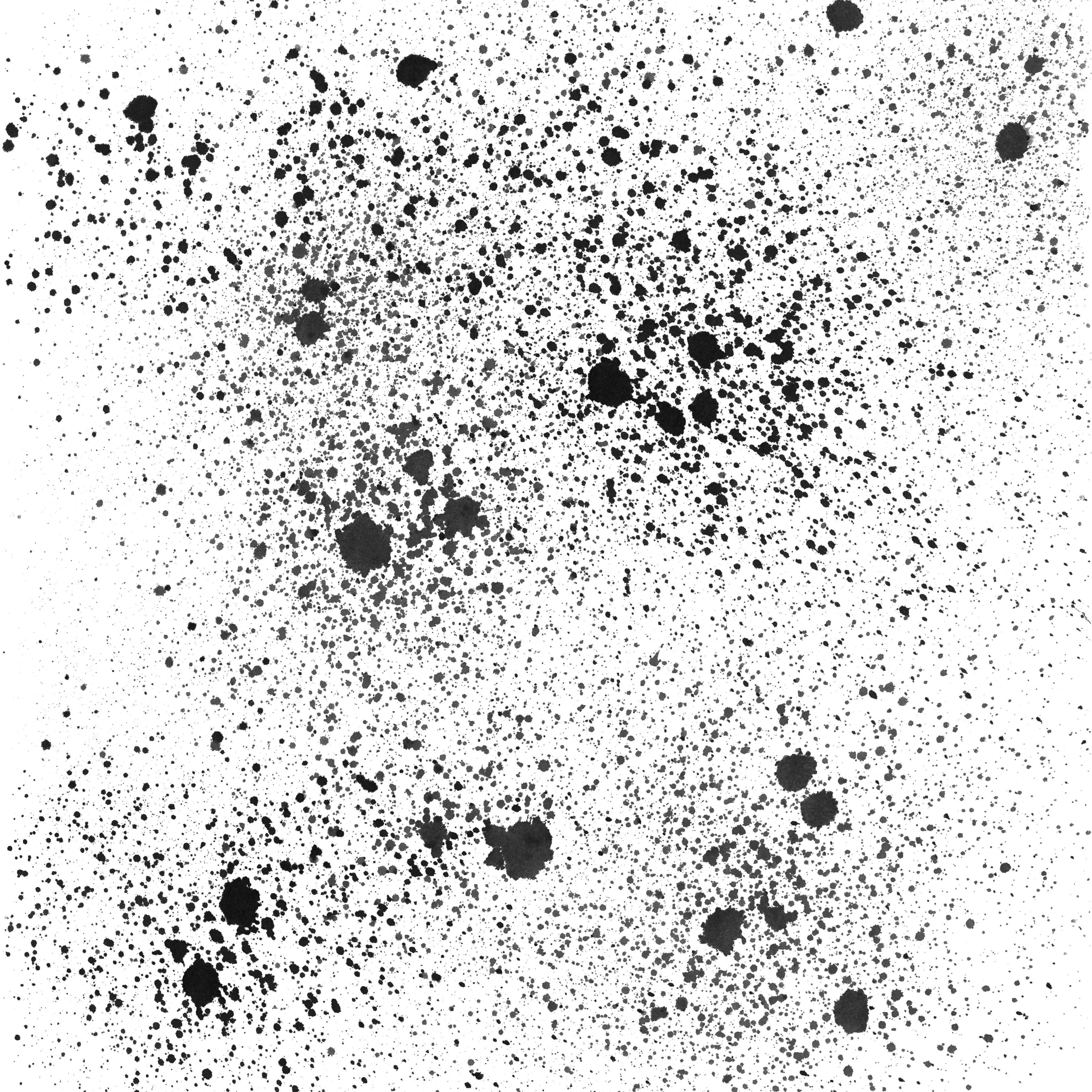 Grunge Vector Overlay Splatter Overlay Png Transparent Overlay Grunge