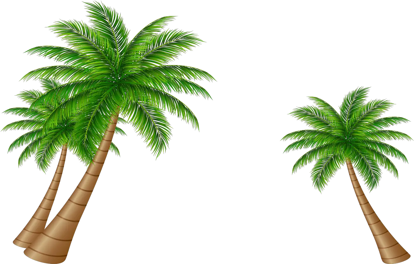 Transparent Tree Vector Png Coconut Tree Vector