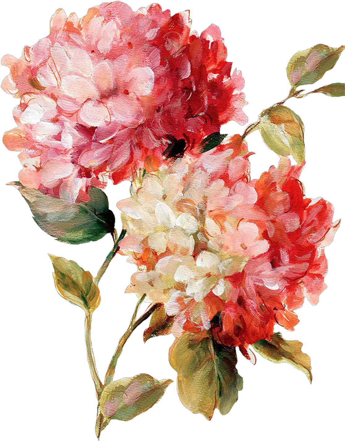 Decoupage Flower Painting Png Watercolors Flower Painting Png