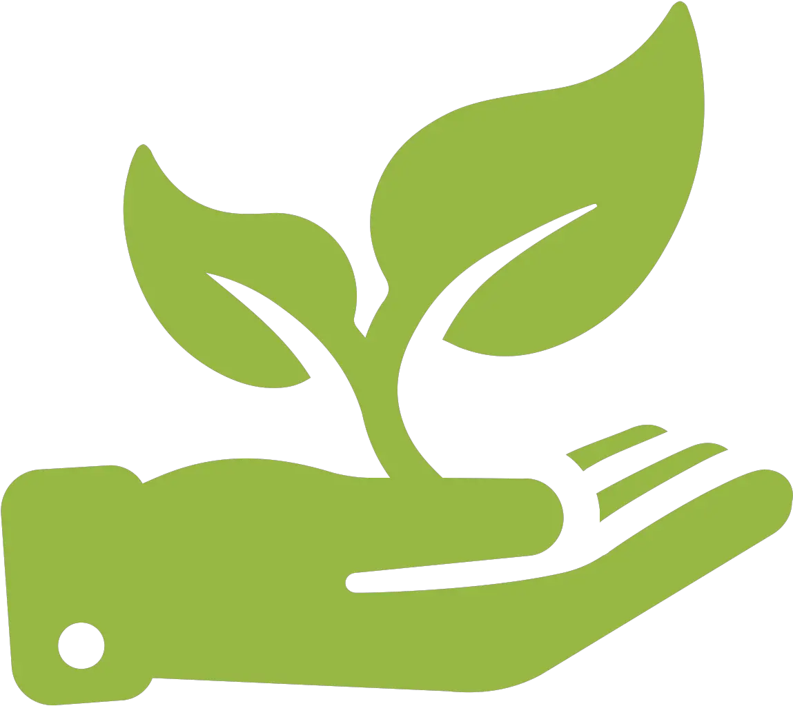 Grow Transparent Background Icon Plant Growing Png