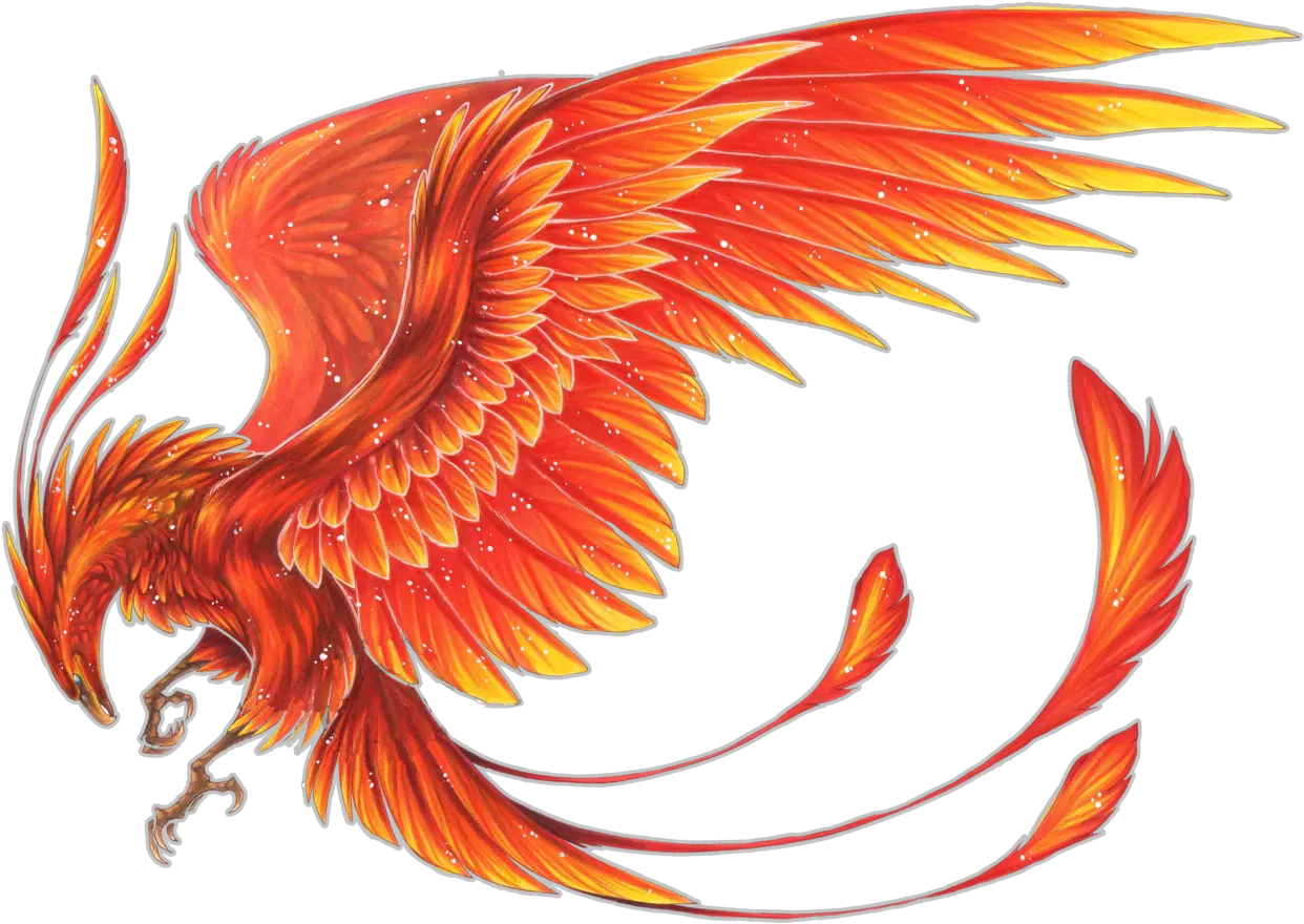 Mythical Creature Phoenix Drawing