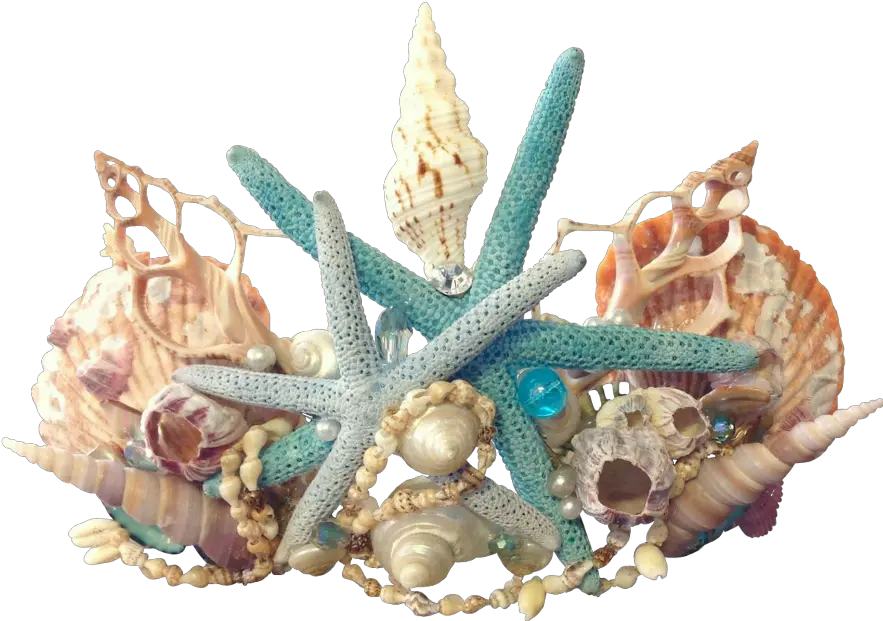 Mermaid Crown