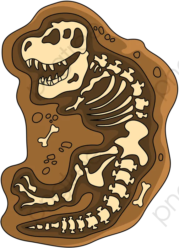 Transparent Skeleton Dinosaur Fossils Clipart Png