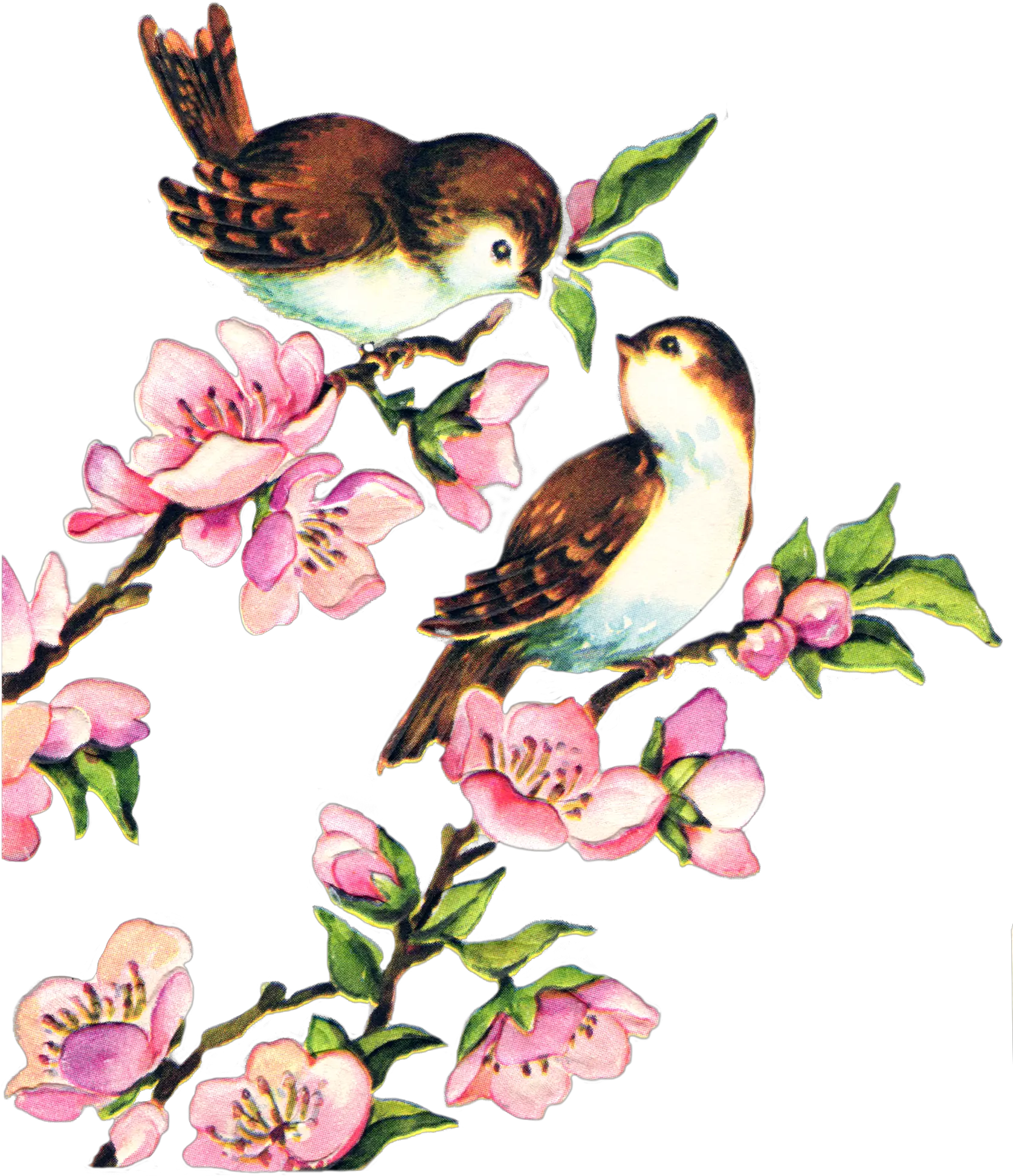 Clip Art Free Vintage Spring Clipart Vintage Spring Clip Art
