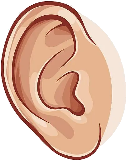 Ear Collection Of Images High Quality Free Awesome Ear Clipart