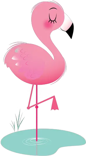 Transparent Background Flamingo Clipart