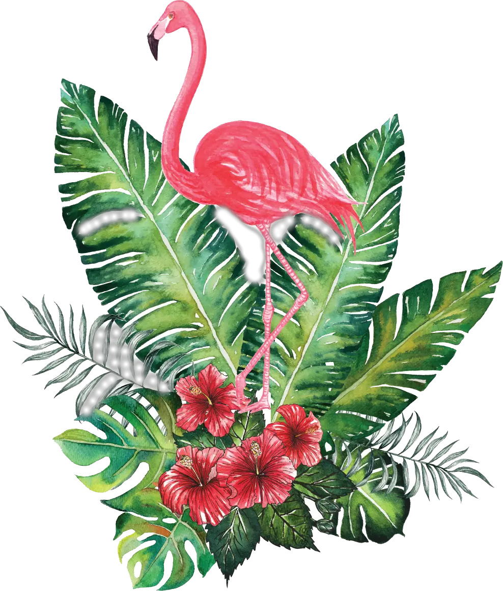 Flower Crowns Png -green Flower Crown Png Tropical Flamingo