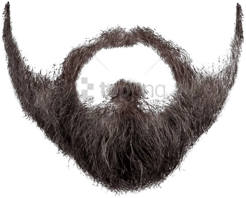 Download Beard And Images Transparent Background Beard Png