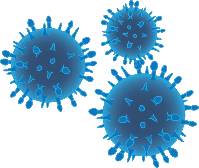 Bacteria Png Download Png Image With Transparent Background Bacteria Png