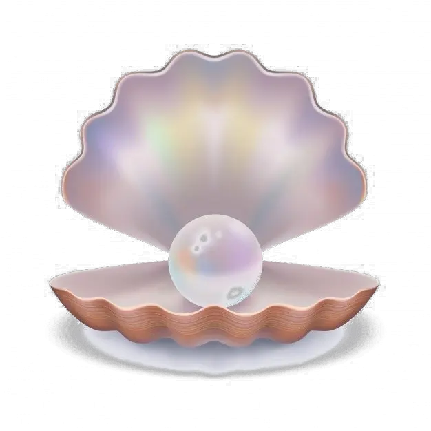 Pearl Download Png Image Transparent Background Clam Shell Png