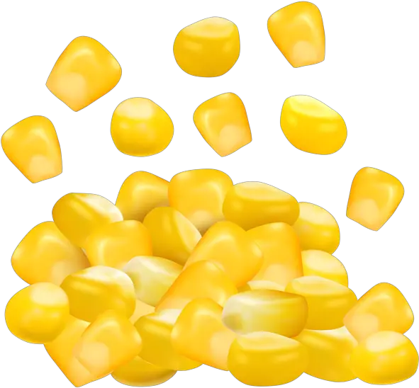 Grains Clipart Clip Art Transparent A Corn Kernel
