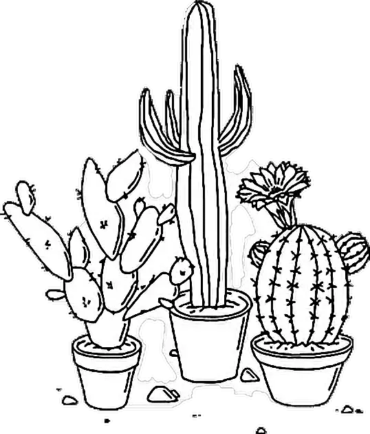 sticker tumblr aesthetic png cactus plant blackandwhite Aesthetic Transparent Black And Whi