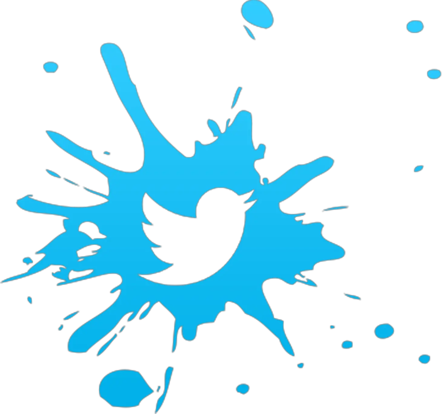 Twitter Icon