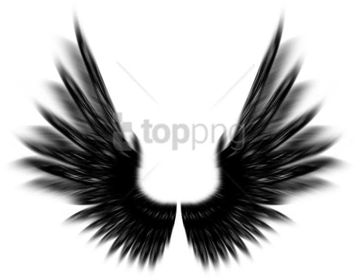 Free Png Shield With Wings Png Png Image With Transparent Black Angel Wings Photoshop