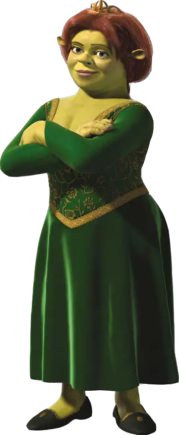 Shrek And Fiona Costume