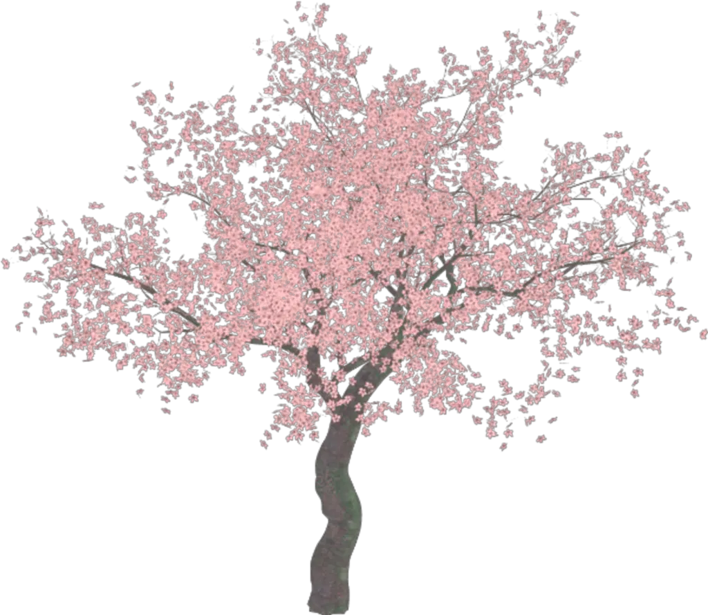 Illustrator Tree Png Transparent Background Cherry Blossom Tree Png