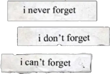 sad quotes quote aesthetic tumblr tumblraesthetic Never Forget I Dont Forget I Cant Forget