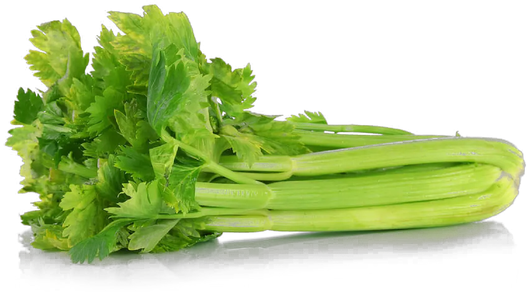 Download Celery Png File Celery Meaning In Hindi