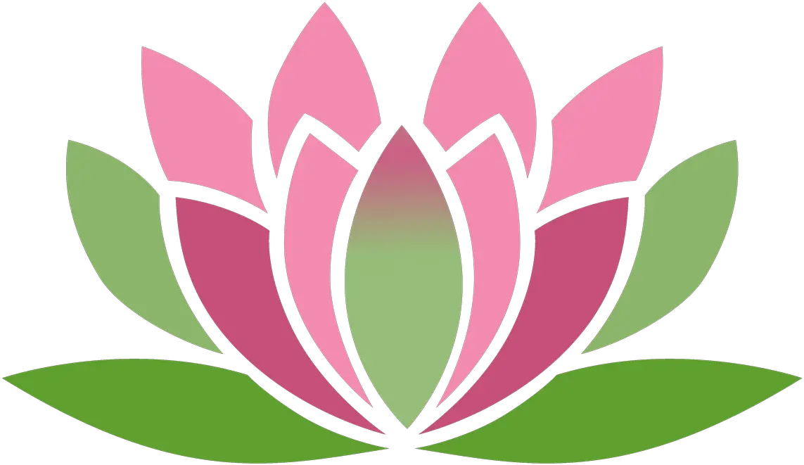 Flor De Lotus Vetor