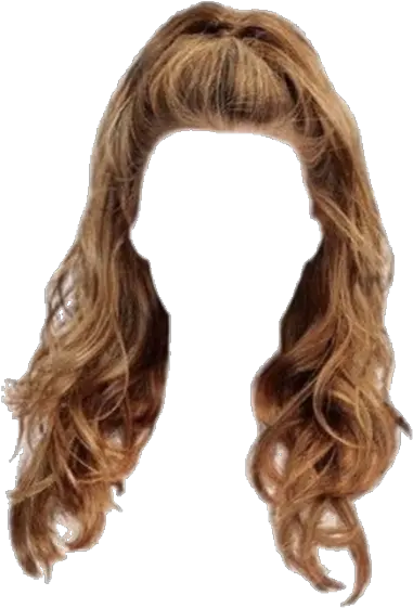 moodboard aesthetic niche hair haircut brunnette Niche Hair