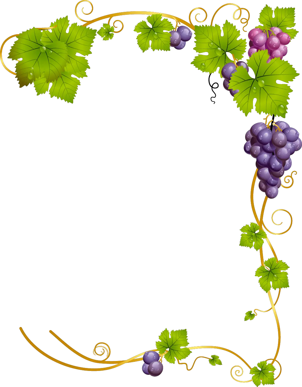 Transparent Grapevine Border Clipart Grape Vine Clipart Png