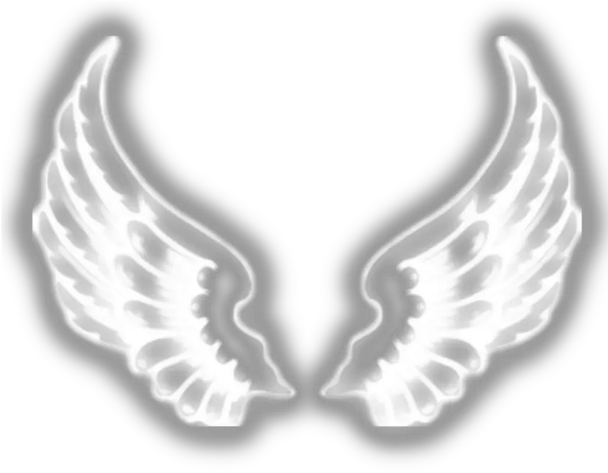 wings wing emoji neon white black sad happy