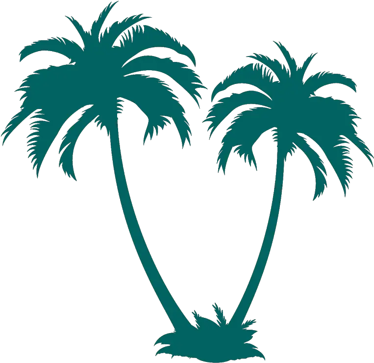 Coconut Tree Vector Png