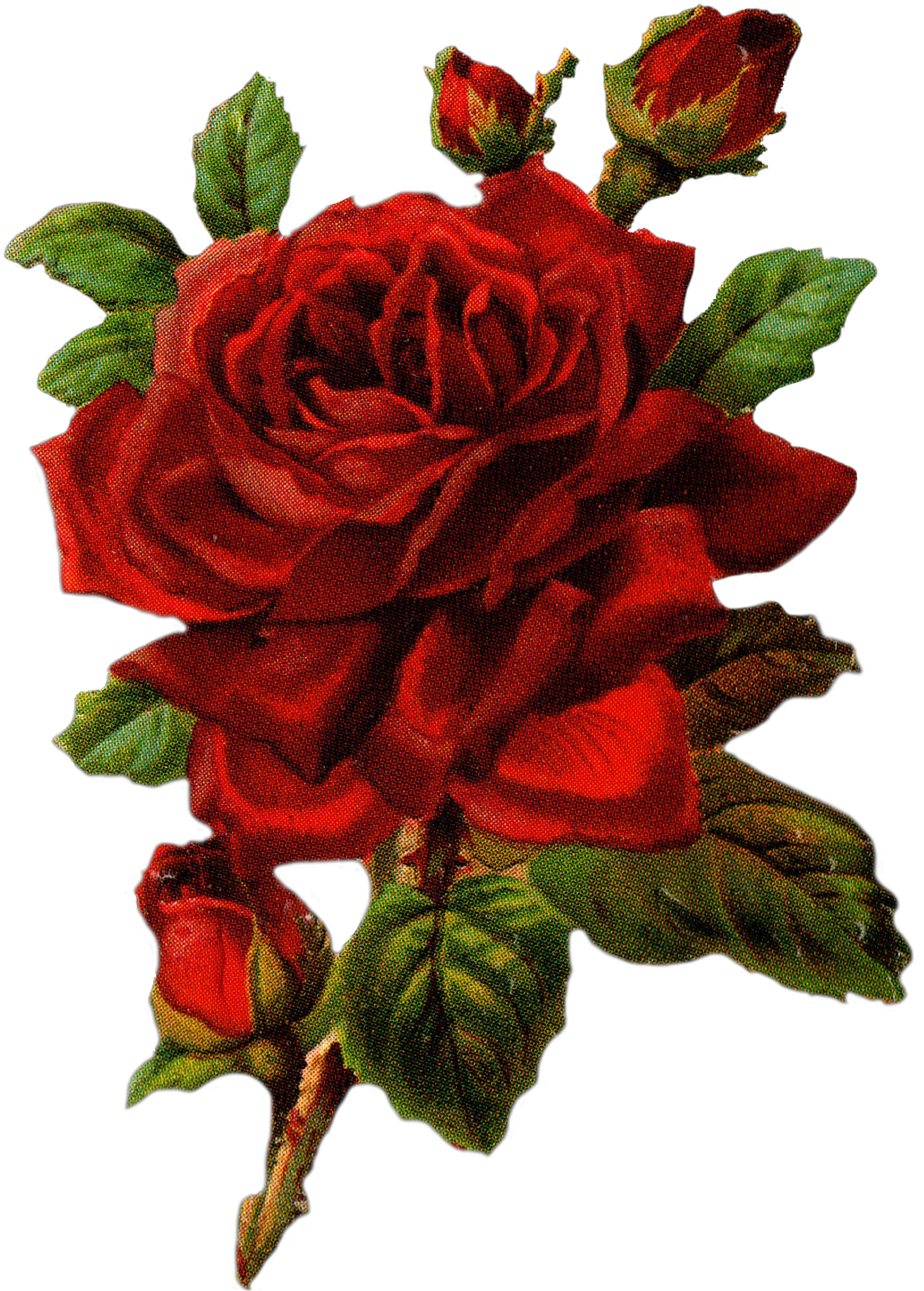 Red Vintage Rose Png