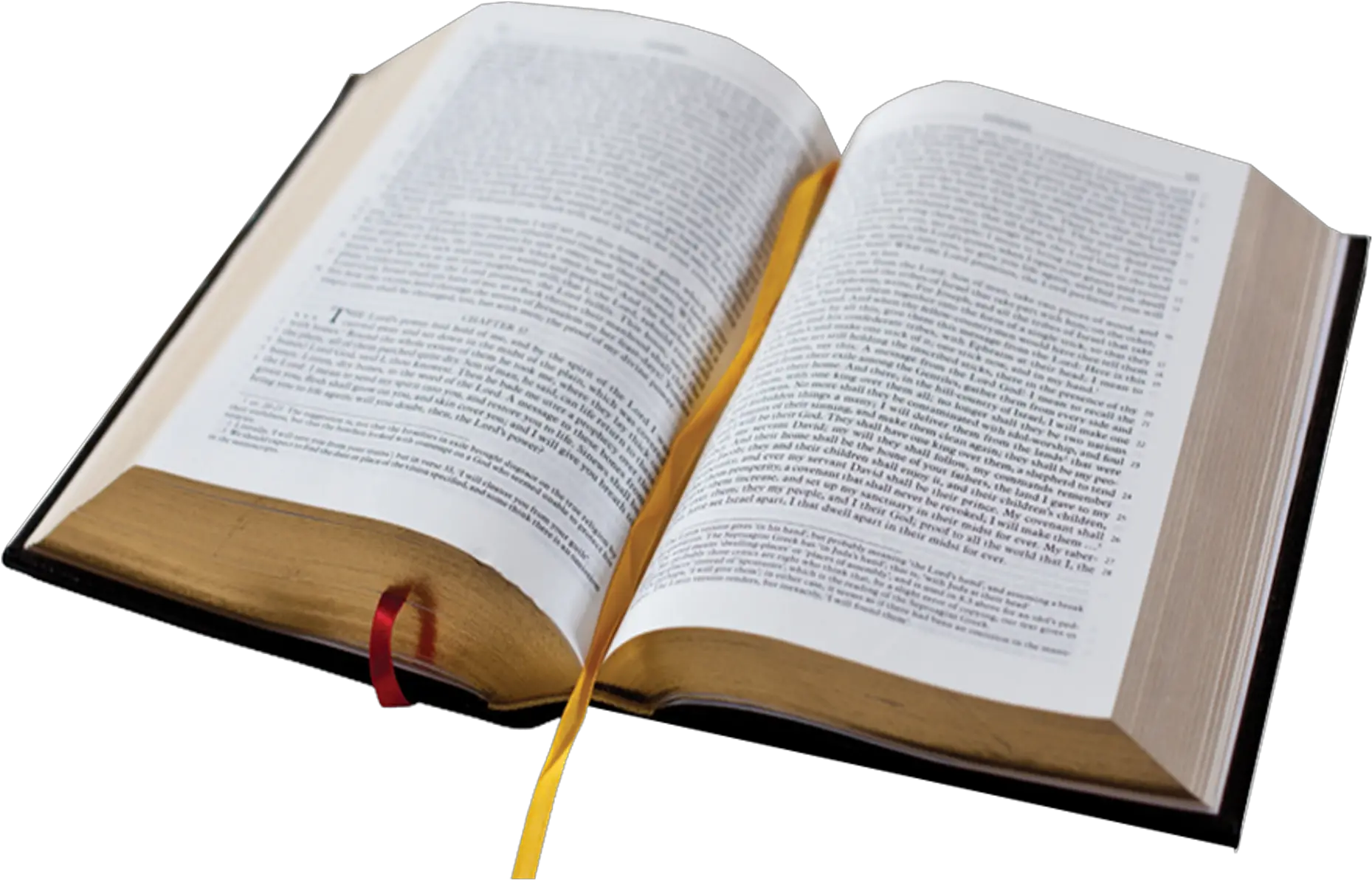The Old And New Testaments Holy Bible No Background