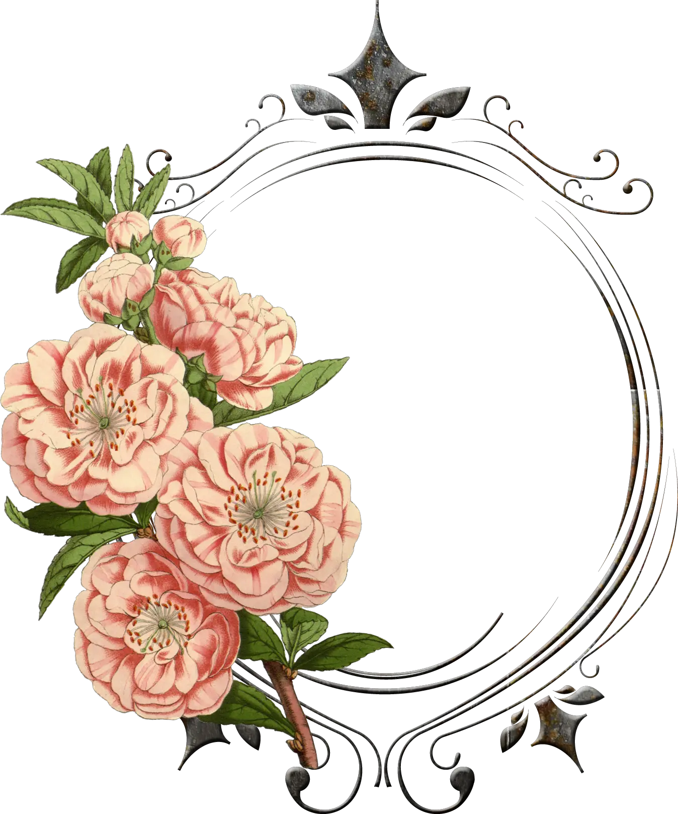 Transparent Vintage Frames Png Vintage Flower Border Png