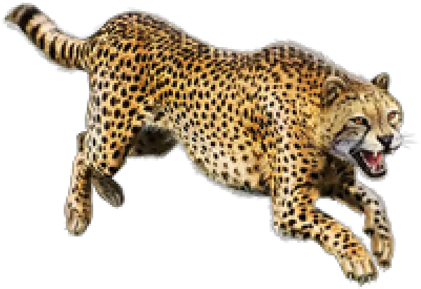 Cheetah Jumping Png Png Transparent Cheetah Png