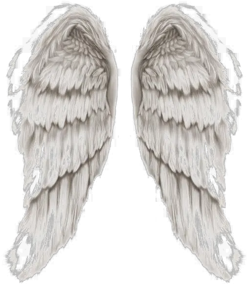 Angel Wings Png Transparent Image Angels Of God Wings