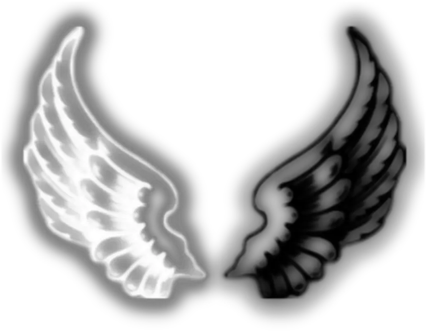 wings asthetic asthetics angel devil demon wing Angel And Demon Wings