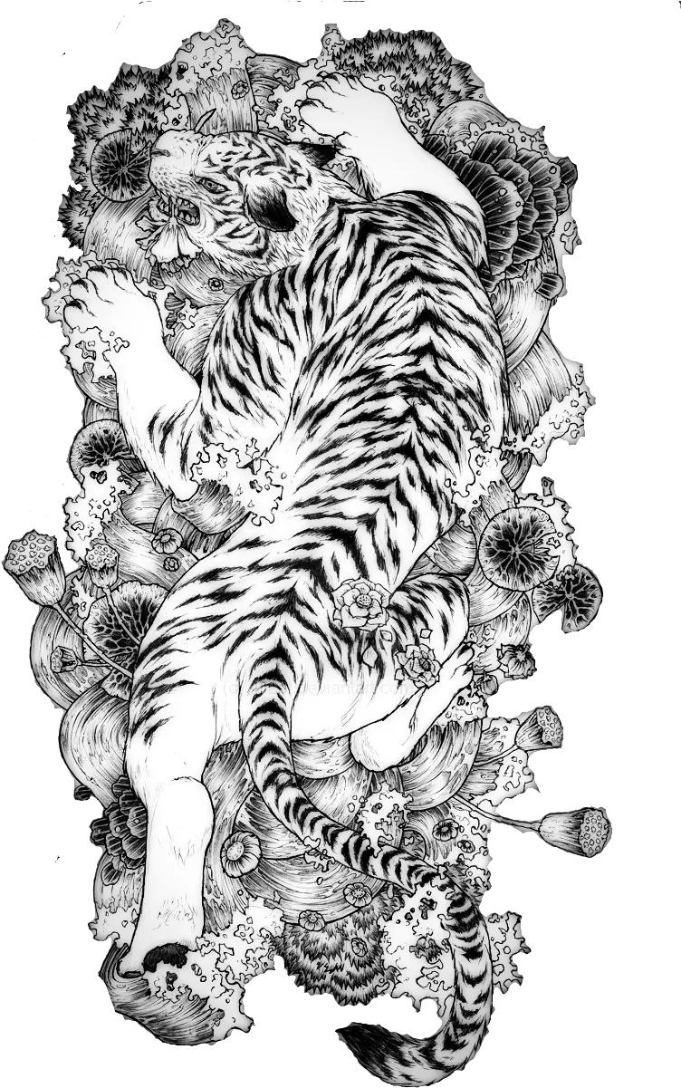 Tattoo Chinese Dragon Tiger China White Clipart Japanese Tiger Tattoo Drawing
