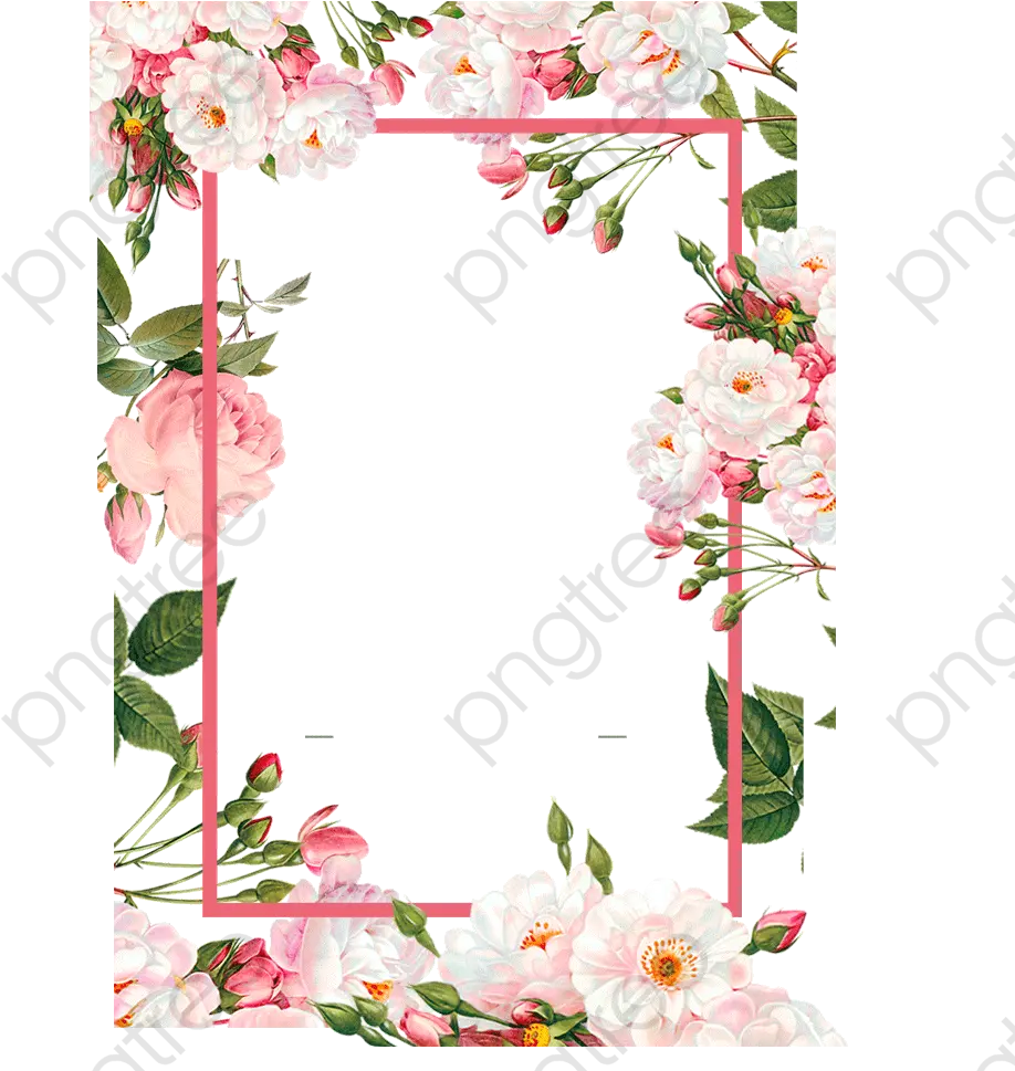 Pink Borders Color Vector Flower Frame Png