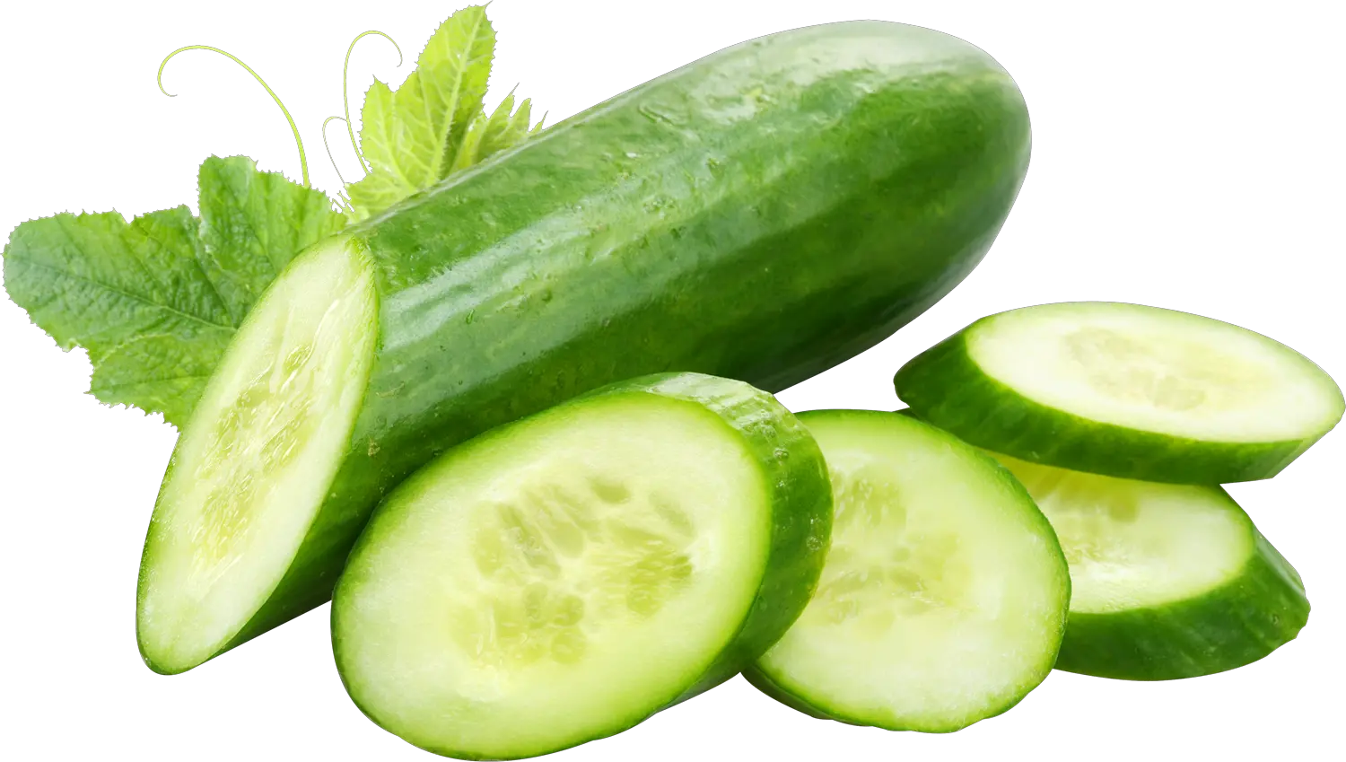 Home U003e Cucumber Png Image Transparent Transparent Transparent Background Cucumber Png