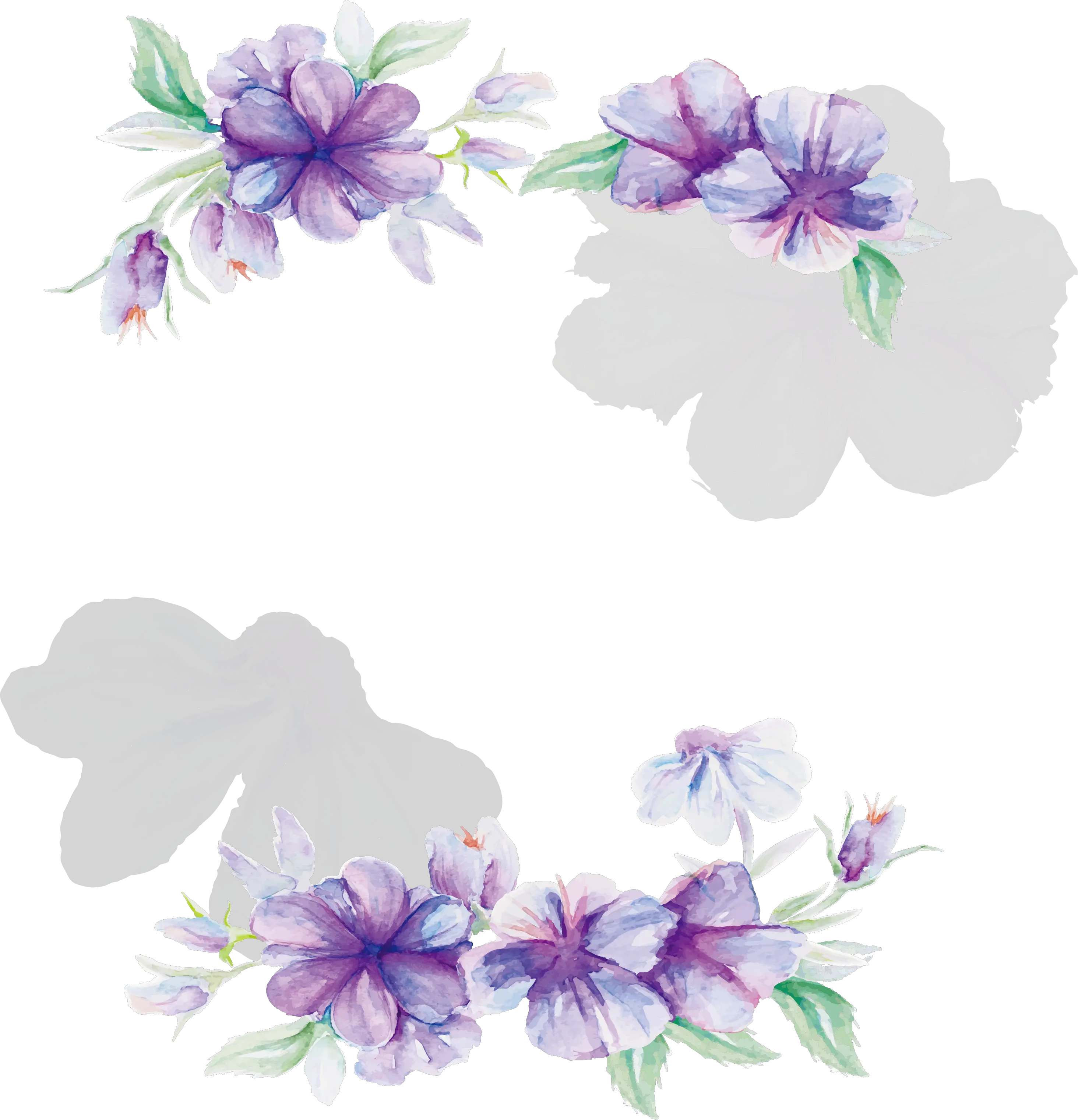 Floral Design Lilac Flower Pattern Transparent Watercolor Flower Frame