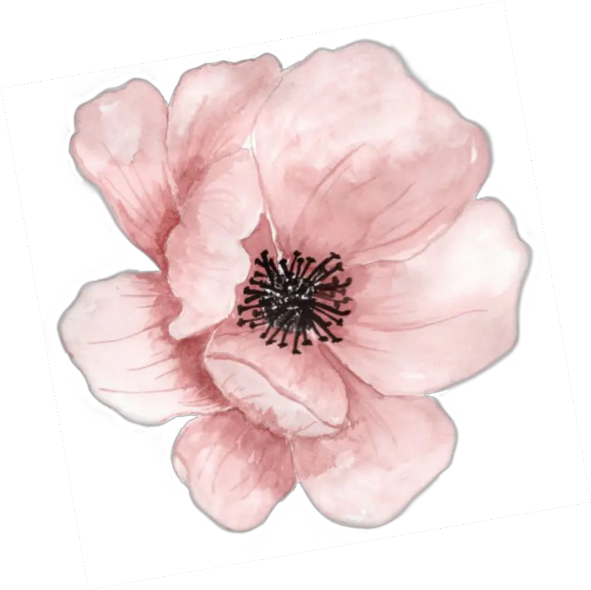 flower blossom peach watercolor flowers pink Peach Watercolor Flowers