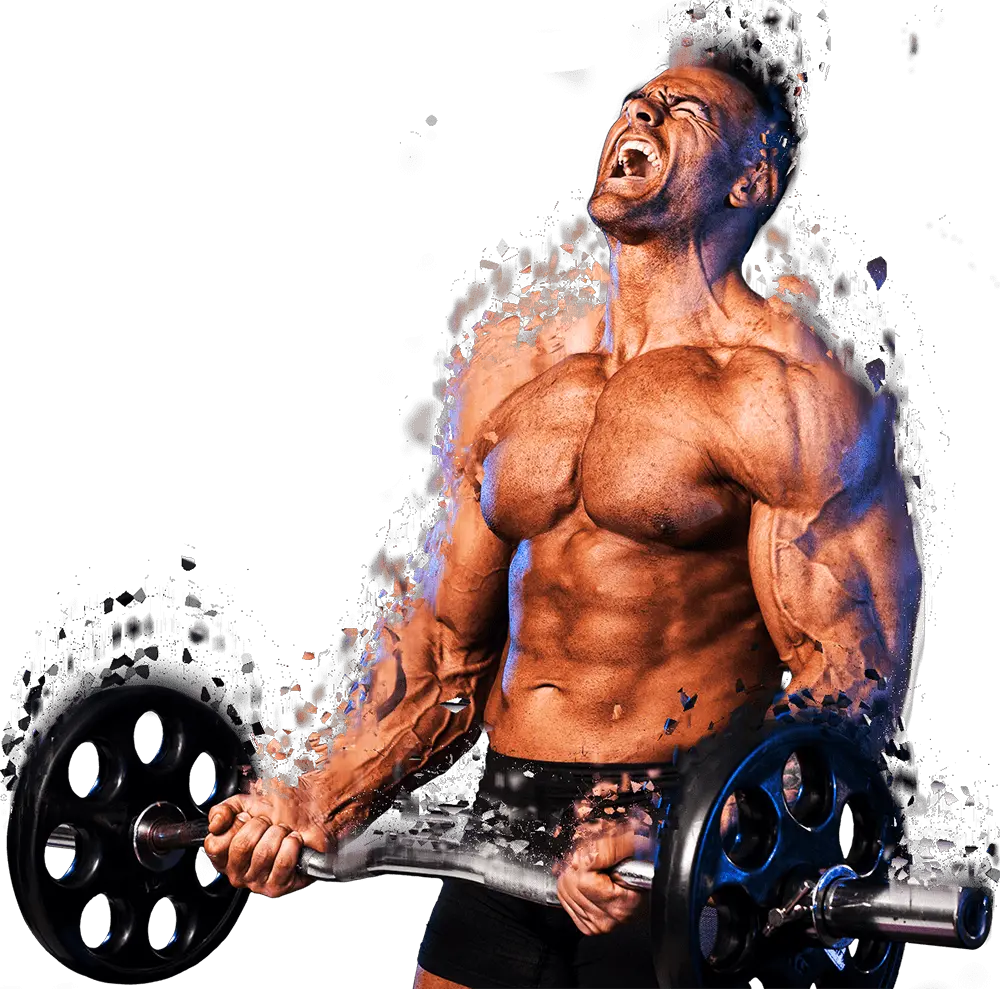 Bodybuilder Images Hd Png