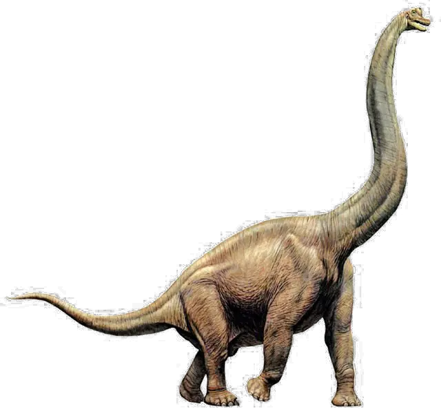 Dinosaur Transparent Image Brachiosaurus Dinosaur With Long Neck