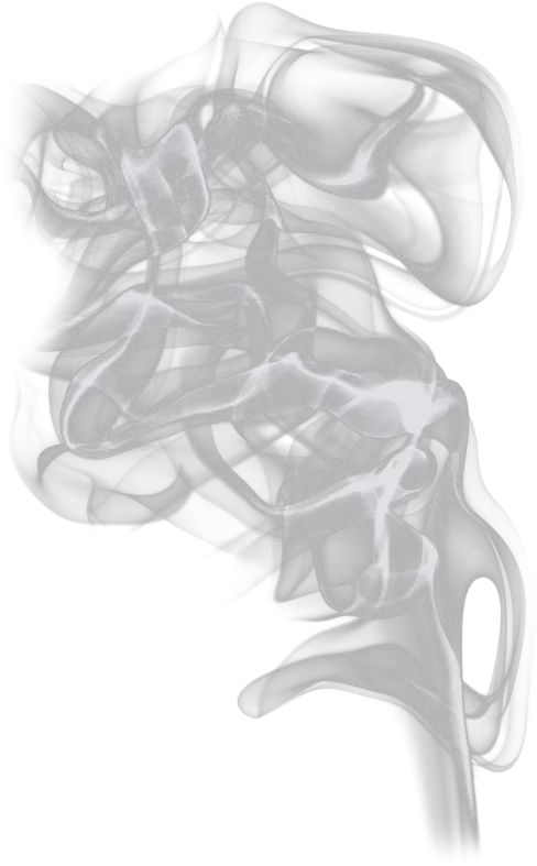 Powerful Weapon On Earth Is The Human Soul On Fire Light Your Soul On Fire