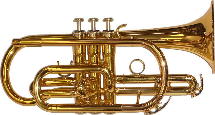 Brass Band Instrument Png Picture Brass Instruments Png