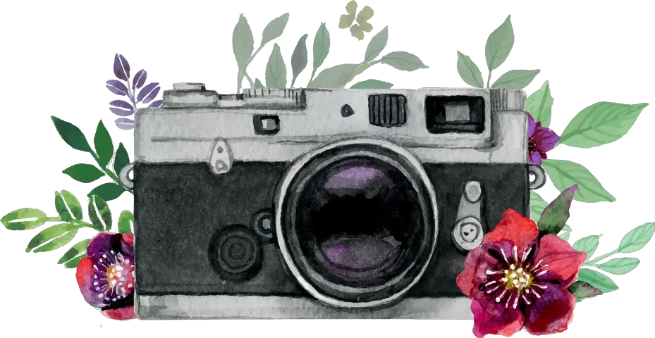 Transparent Background Vintage Camera Vector Png
