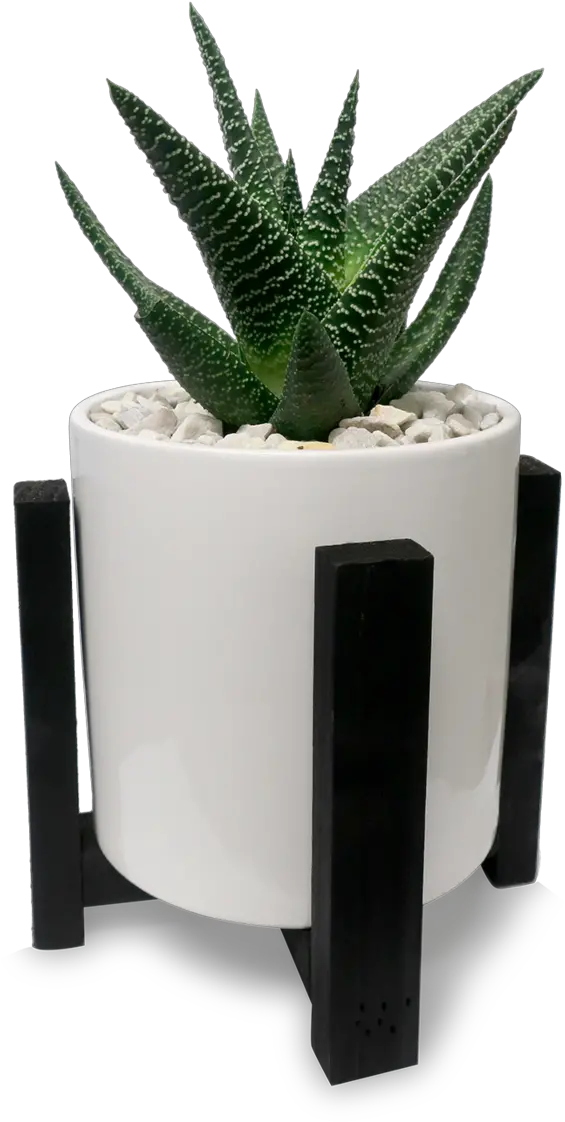 Transparent Desk Plant Png Flowerpot