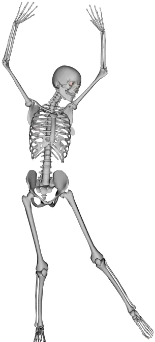 Transparent Bones Skeleton Dance
