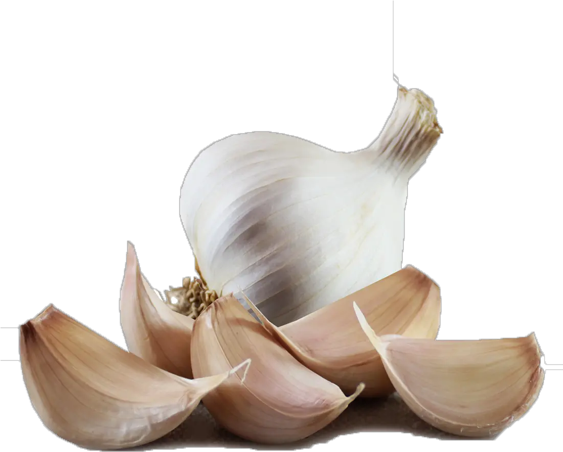Garlic Png Hd Images Solent Wight Garlic Cloves