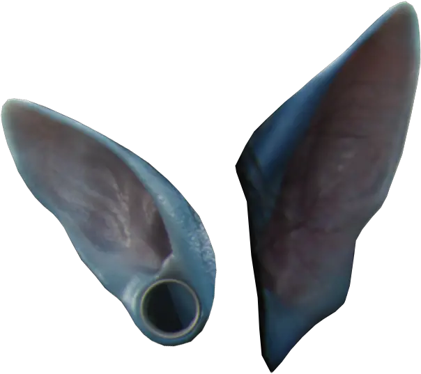 Transparent Ear Png Avatar Na Vi Ears